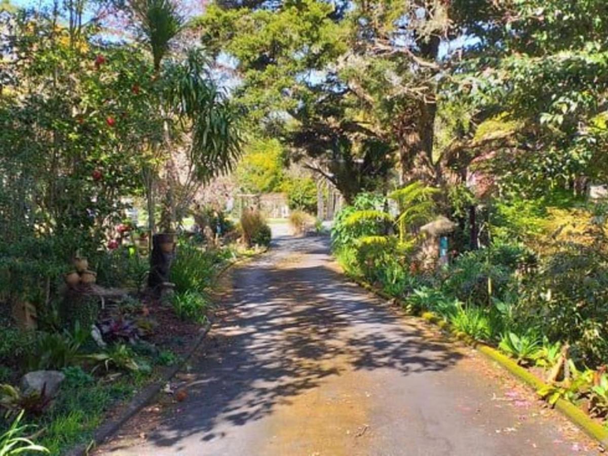 Waimoana Garden Accommodation Whangarei Εξωτερικό φωτογραφία